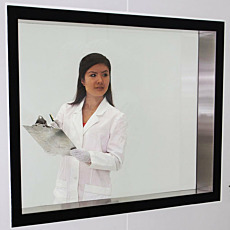 Cleanroom Windows